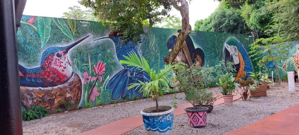 Aldeia Hostel II ماناوس المظهر الخارجي الصورة